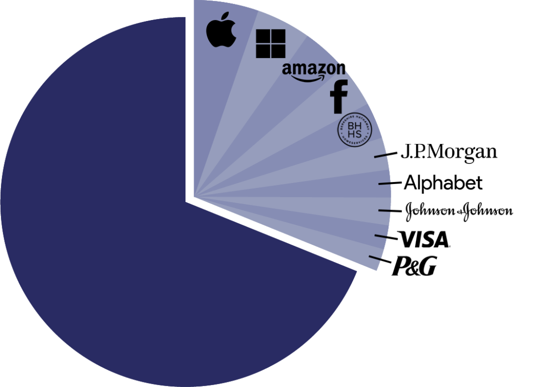 Fidelity 500 Index Fund Pie Chart